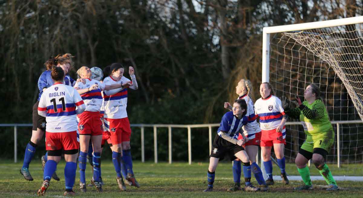 Sheffield Wednesday Wakefield trinity