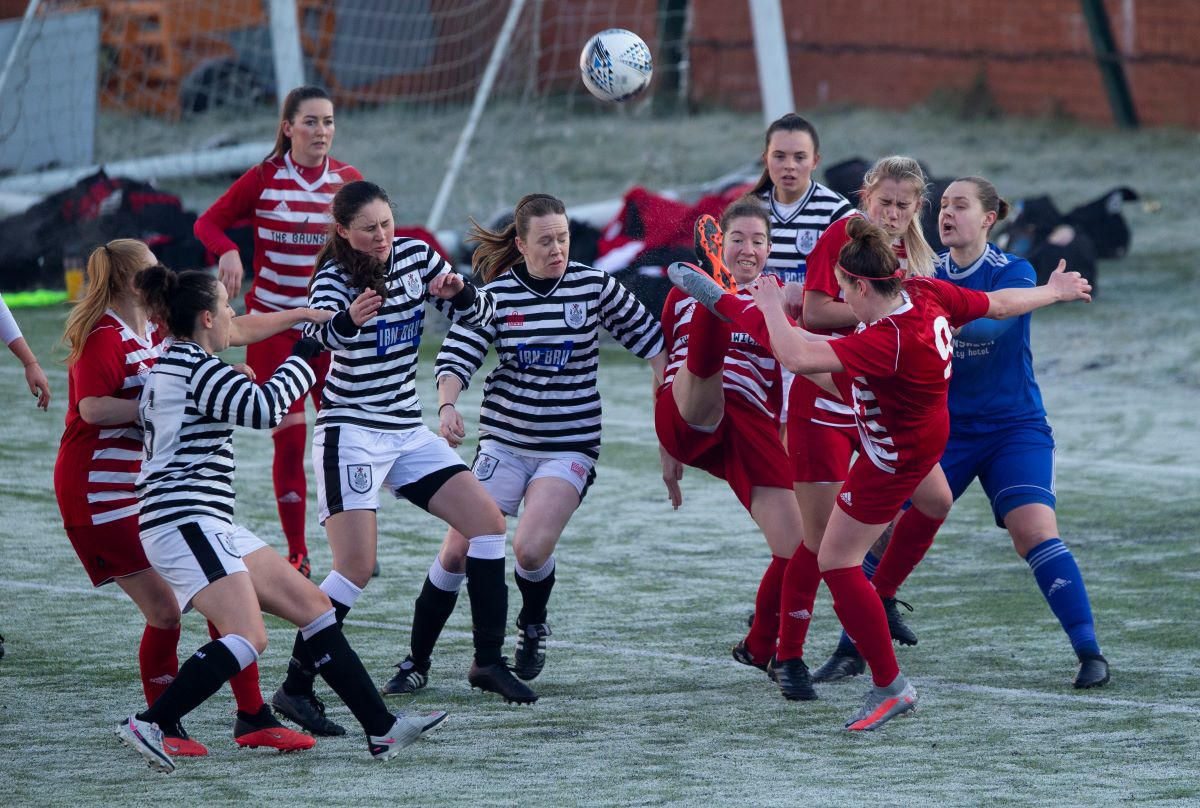 SWPL 2 action