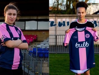 Dulwich Hamlet's new signigs