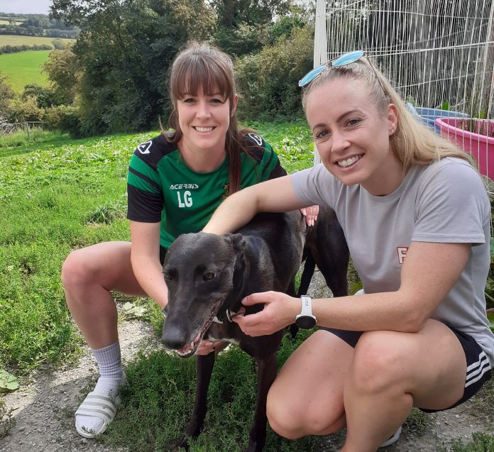 Aberystwyth Town players paid a visit to Hector's Greyhound Rescue