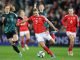 Wales to visit Republic of Ireland
