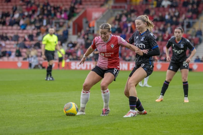 Barclays Womens Championship - Southampton vs Crystal Palce - St Marys Stadium