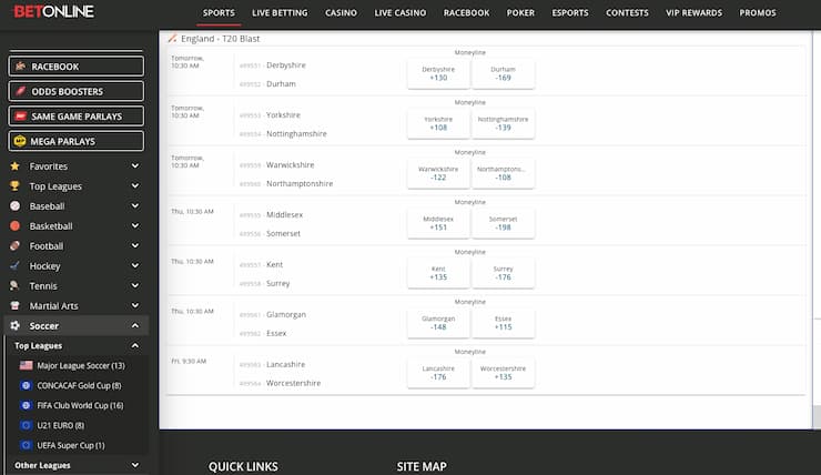 Best Cricket Betting Sites in the US: Top 10 Sportsbooks for Cricket