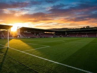 Empty Arsenal stadium at sunset with left side of pitch prominently featured in golden light