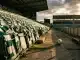 Empty stadium seats with green and white scarves and lone football, symbolizing Plymouth Argyle Women's uncertain future